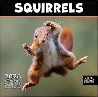 Squirrels 2026 Calendar
