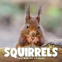 Squirrels 2026 Calendar