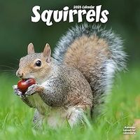 Squirrels 2026 Calendar