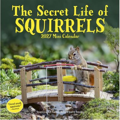 Secret Life of Squirrels 2027 Mini Wall Calendar