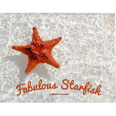 Starfish 2027 Wall Calendar