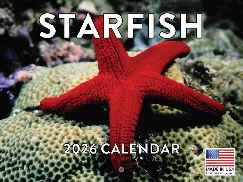 Starfish 2025 Calendar