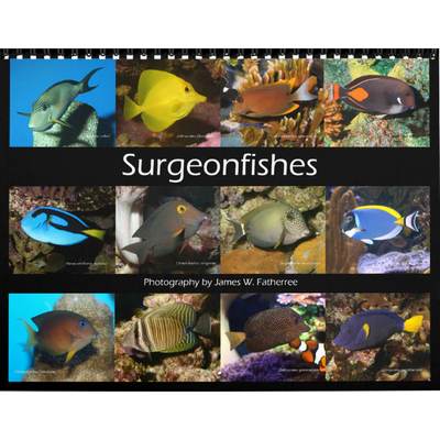 Surgeonfishes 2027 Wall Calendar