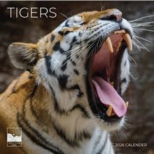 Tigers 2026 Wall Calendar