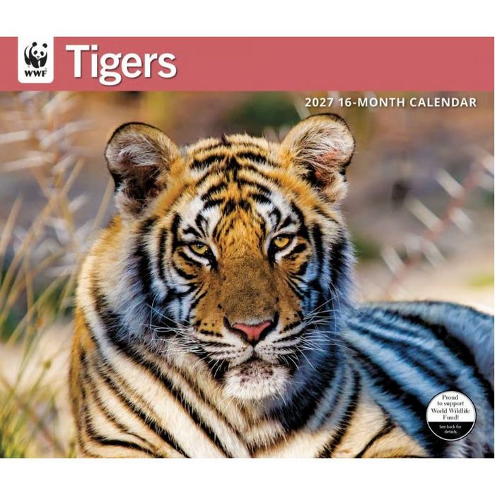 WWF Tigers 2027 Wall Calendar