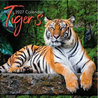 Tigers 2027 Wall Calendar