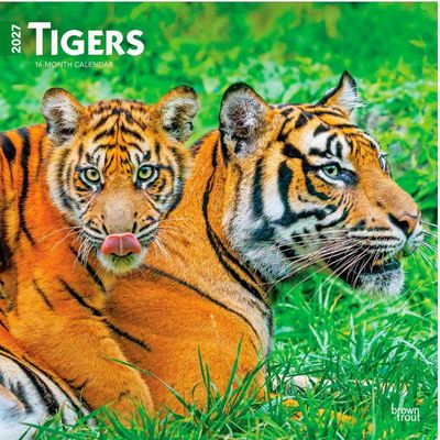 Tigers 2027 Wall Calendar