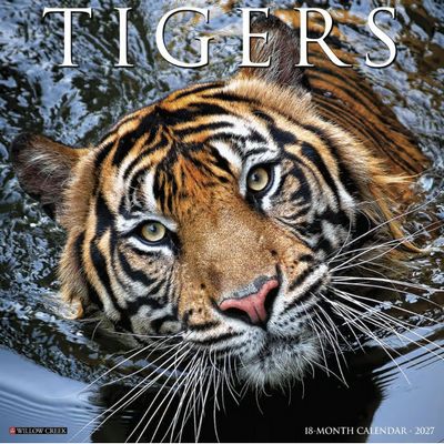 Tigers 2027 Wall Calendar
