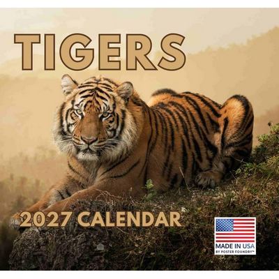 Tigers 2027 Wall Calendar