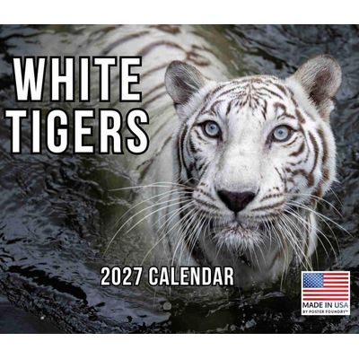 Tigers 2027 Wall Calendar