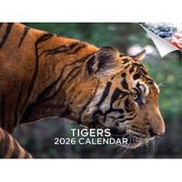 Tigers 2026 Wall Calendar