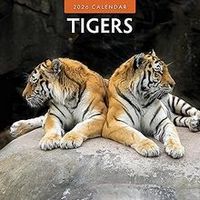 Tigers 2026 Wall Calendar