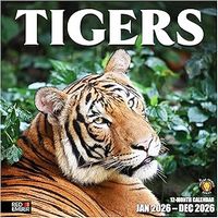 Tigers 2026 Wall Calendar