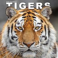 Tigers 2026 Wall Calendar