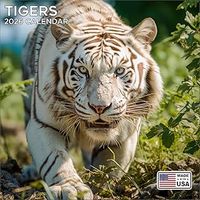 Tigers 2026 Wall Calendar