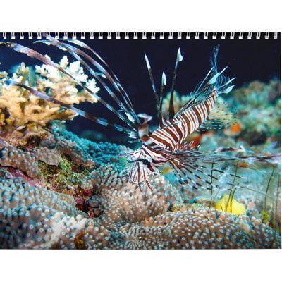 2027 Tropical Fish Great Barrier Reef Coral Sea Calendar