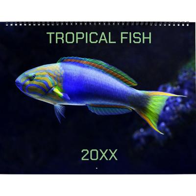 Tropical Fish 2027 Wall Calendar