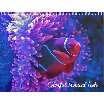 Colorful Tropical Fish | Underwater Paradise Calendar
