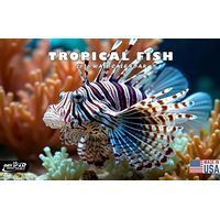 Tropical Fish 2026 Calendar