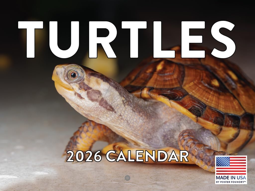 Turtles 2026 Calendar