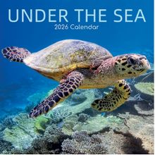 Under The Sea 2026 Calendar