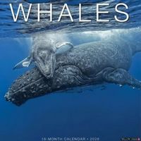 Whales 2026 Calendar