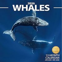 Whales 2026 Calendars