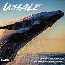 Whales 2026 Calendars