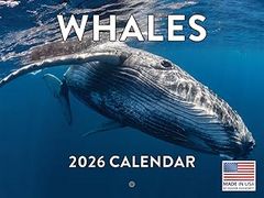 Whales 2026 Calendars