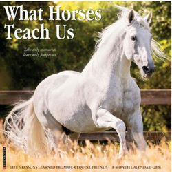 What Horses Teach Us 2026 Wall Calendar