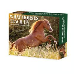 What Horses Teach Us 2026 Desk Calendar