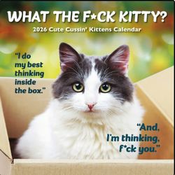 What the F*ck Kitty 2026 Wall Calendar