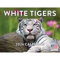 White Tigers 2026 Wall Calendar