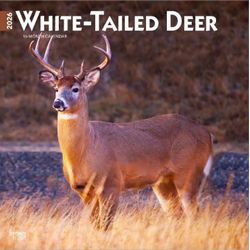 Whitetail Deer Calendar