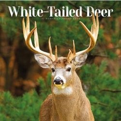 White-Tailed Deer 2026 Wall Calendar