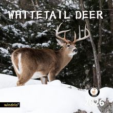 Whitetail Deer 2026 Wall Calendar