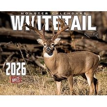 Whitetail Deer 2026 Wall Calendar