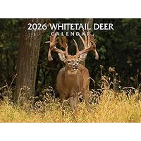 Whitetail Deer 2026 Wall Calendar