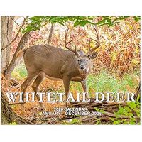 Whitetail Deer 2026 Wall Calendar