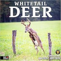 Whitetail Deer 2026 Wall Calendar