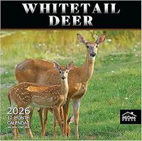 Whitetail Deer 2026 Wall Calendar