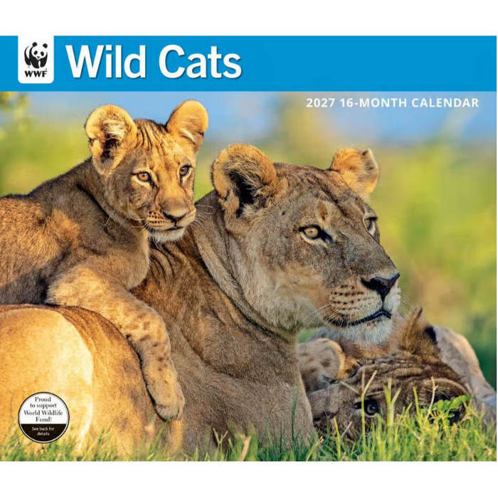 Wild Cats 2027 Calendar