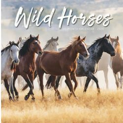 Wild Horses Calendars