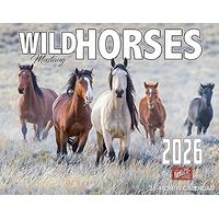 Horses 2026 Calendar