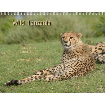 Wild Tanzania 2027 Wall Calendar