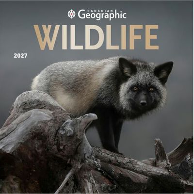 Wildlife 2027 Wall Calendar