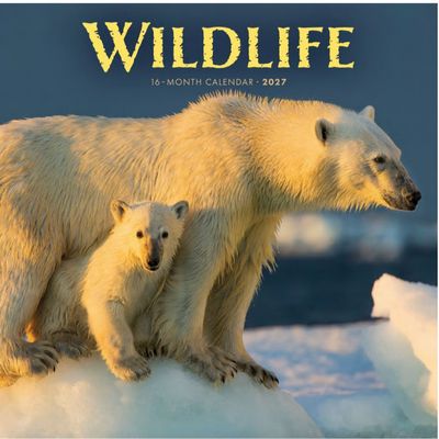 Wildlife 2027 Wall Calendar