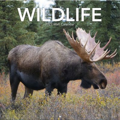 Wildlife 2027 Wall Calendar