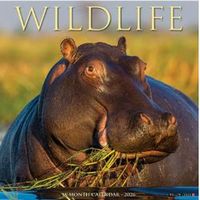 Wildlife Calendars 2026 Calendar