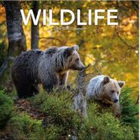 Wildlife Calendars 2026 Calendar